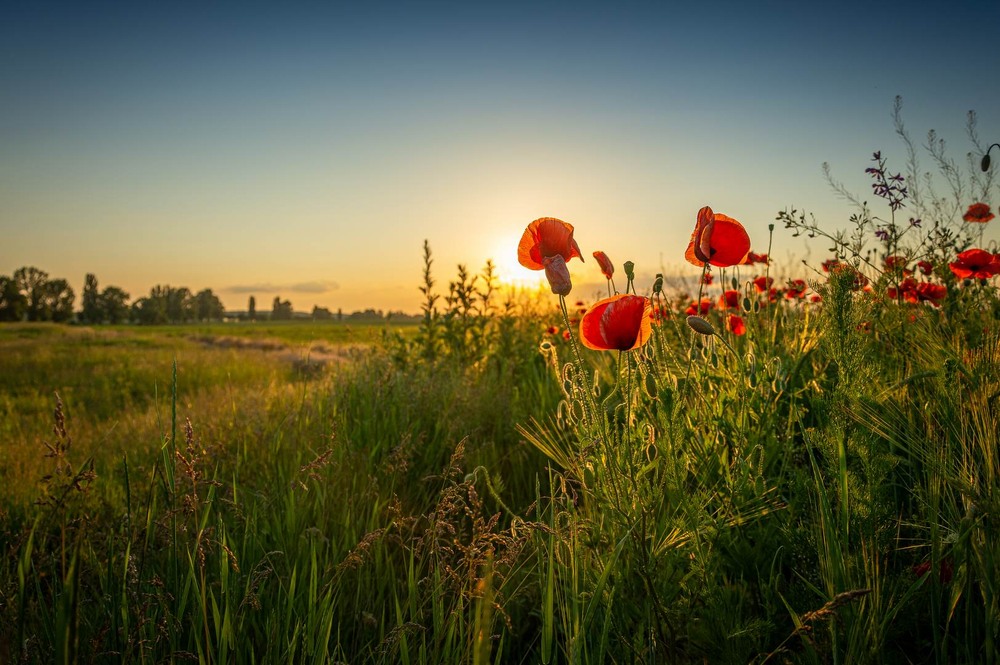 Фотографія Пейзаж / Олександр Катков / photographers.ua
