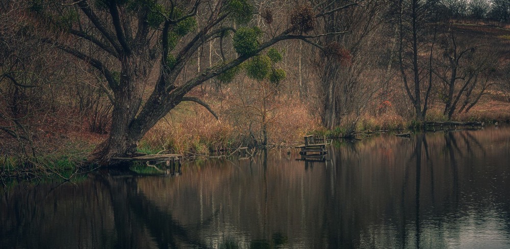 Фотографія Пейзаж / Олександр Катков / photographers.ua