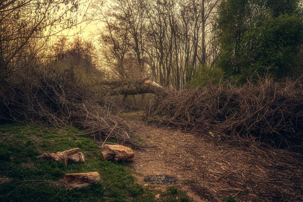 Фотографія Пейзаж / Олександр Катков / photographers.ua