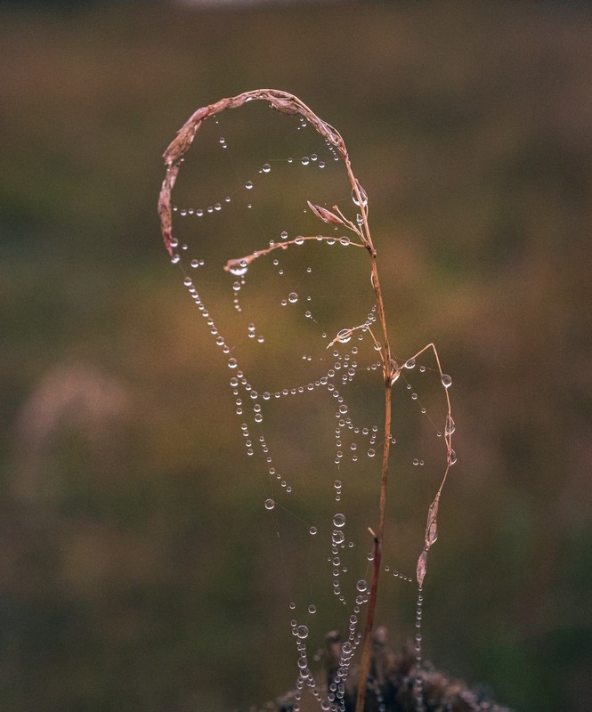 Фотографія Разное / Олександр Катков / photographers.ua