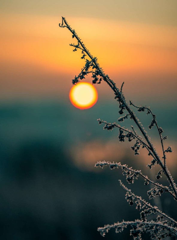 Фотографія Макро / Олександр Катков / photographers.ua