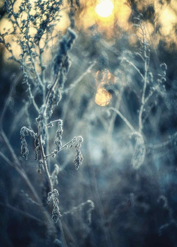 Фотографія Разное / Олександр Катков / photographers.ua