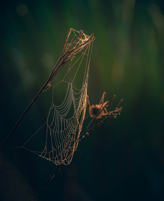 Фотографія Разное / Олександр Катков / photographers.ua