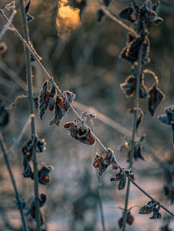 Фотографія Разное / Олександр Катков / photographers.ua