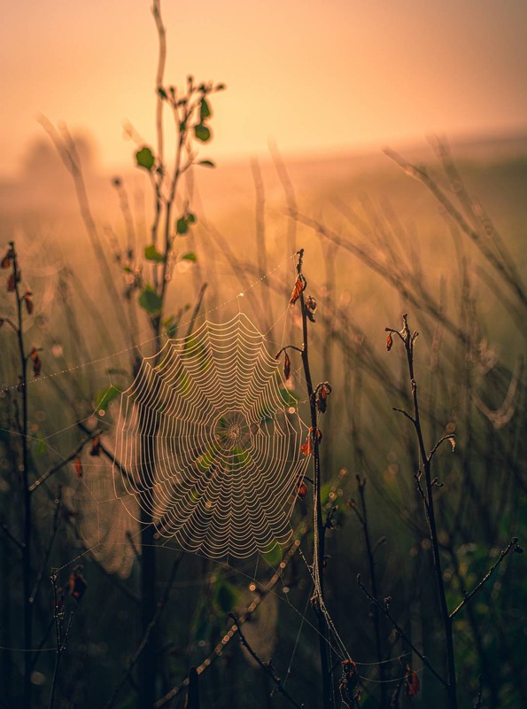 Фотографія Разное / Олександр Катков / photographers.ua