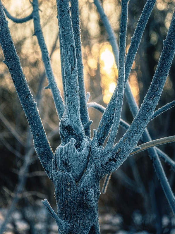 Фотографія Разное / Олександр Катков / photographers.ua