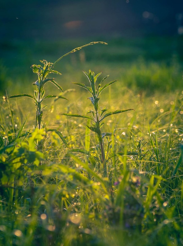 Фотографія Разное / Олександр Катков / photographers.ua