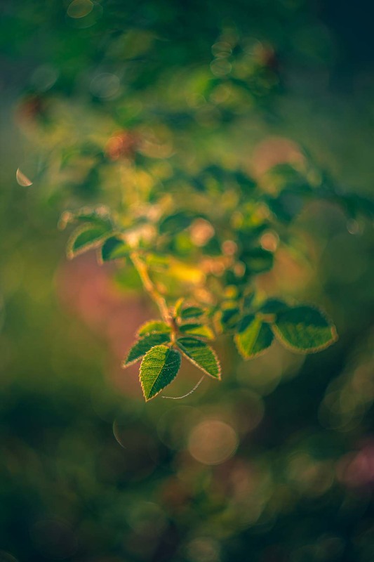 Фотографія Разное / Олександр Катков / photographers.ua