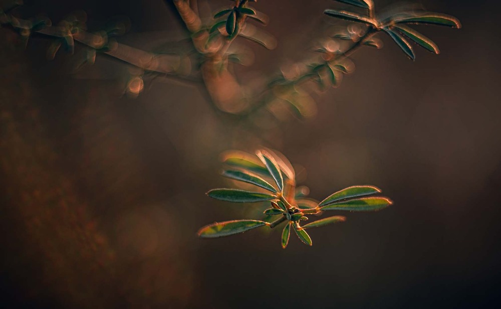 Фотографія Разное / Олександр Катков / photographers.ua