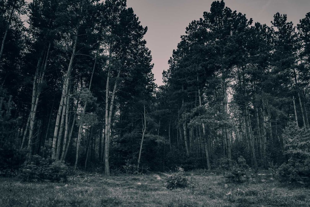 Фотографія Пейзаж / Олександр Катков / photographers.ua