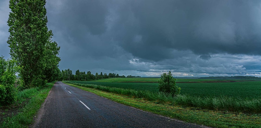 Фотографія Після дощу / Олександр Катков / photographers.ua