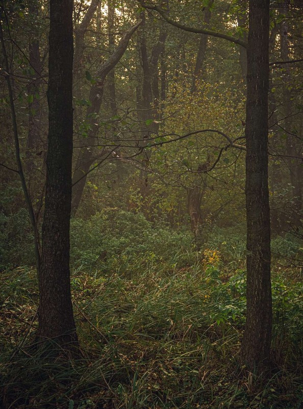 Фотографія Пейзаж / Олександр Катков / photographers.ua