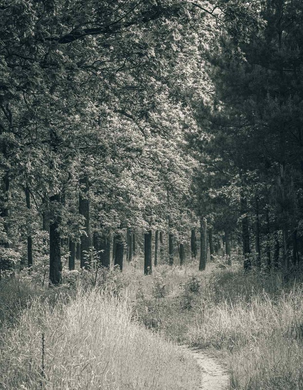 Фотографія Пейзаж / Олександр Катков / photographers.ua