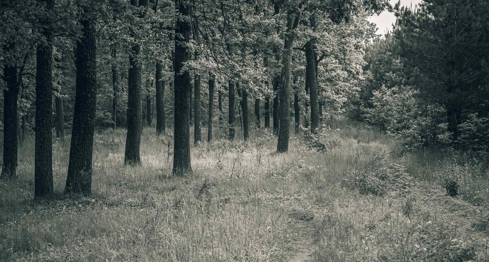 Фотографія Пейзаж / Олександр Катков / photographers.ua