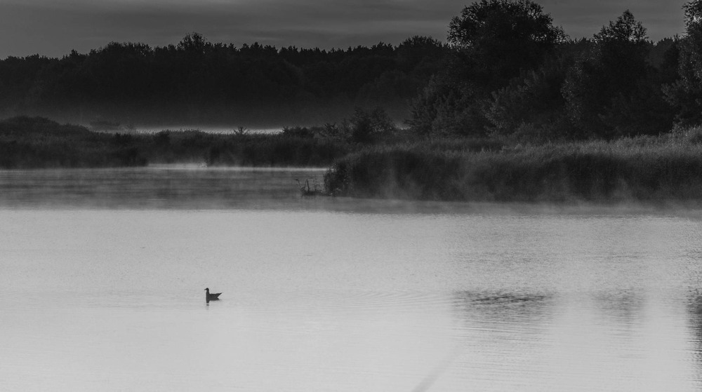 Фотографія Пейзаж / Олександр Катков / photographers.ua
