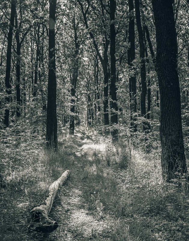 Фотографія Пейзаж / Олександр Катков / photographers.ua