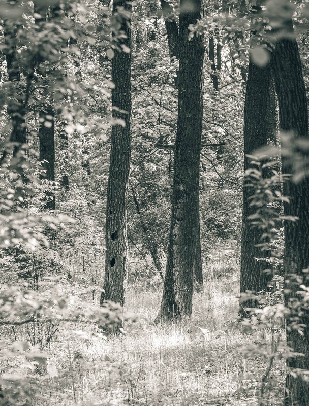 Фотографія Пейзаж / Олександр Катков / photographers.ua