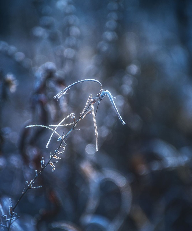 Фотографія Разное / Олександр Катков / photographers.ua