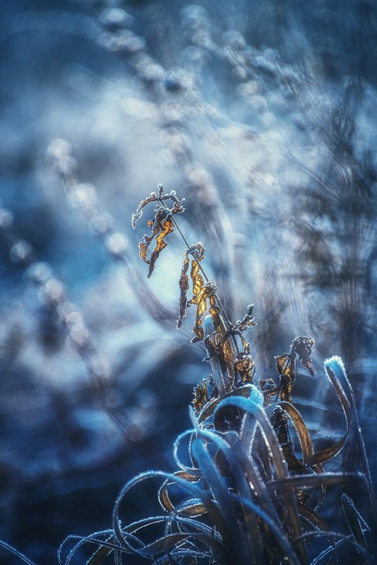 Фотографія Разное / Олександр Катков / photographers.ua