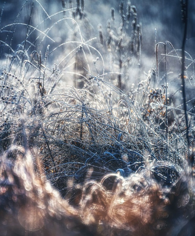 Фотографія Разное / Олександр Катков / photographers.ua