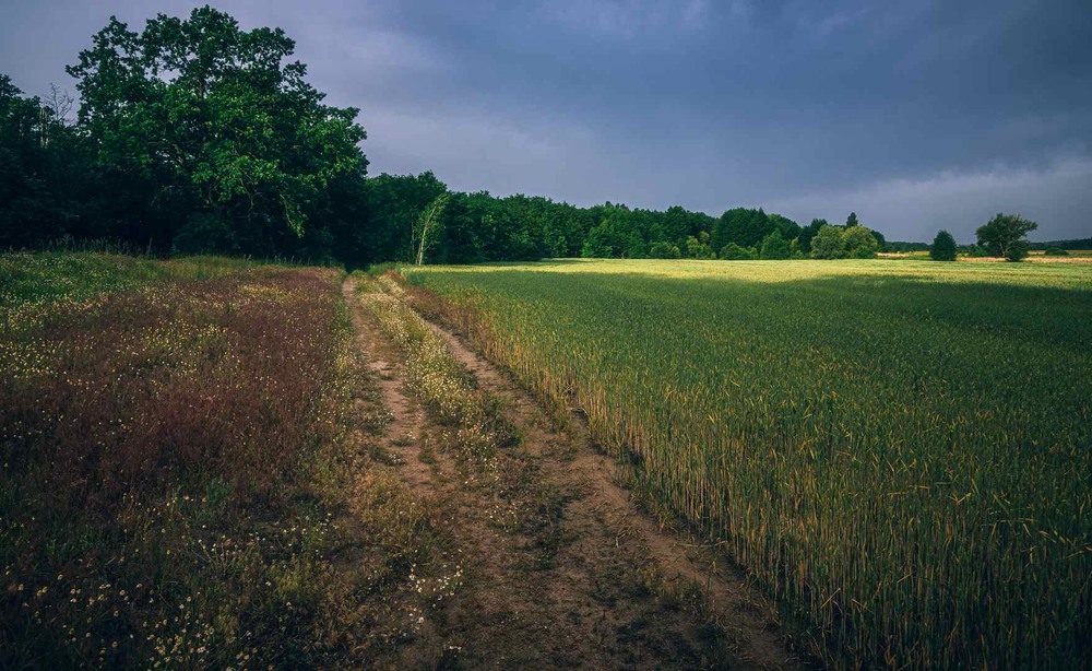 Фотографія Пейзаж / Олександр Катков / photographers.ua