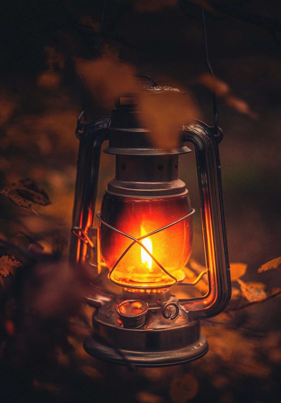 Фотографія Натюрморт / Олександр Катков / photographers.ua