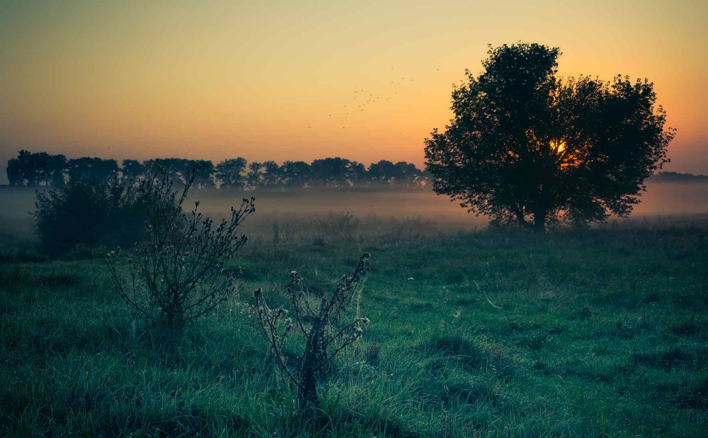 Фотографія Пейзаж / Олександр Катков / photographers.ua