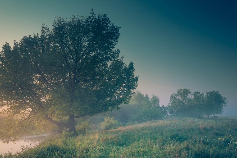 Фотографія Пейзаж / Олександр Катков / photographers.ua