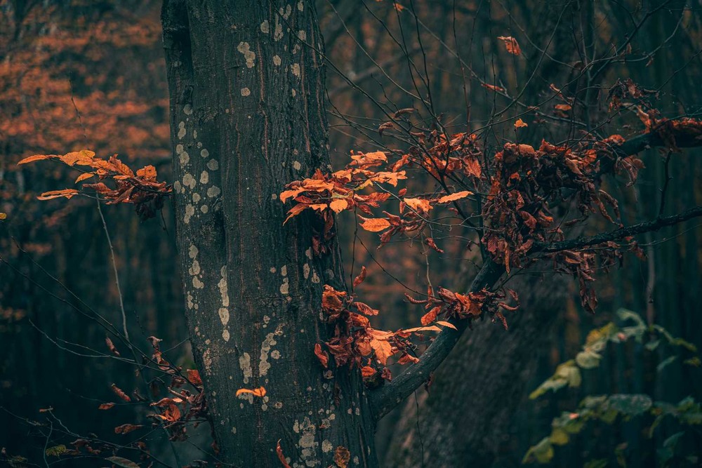 Фотографія Разное / Олександр Катков / photographers.ua