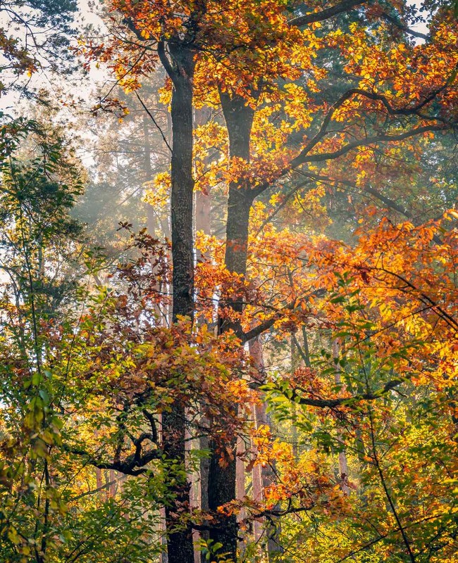 Фотографія Разное / Олександр Катков / photographers.ua