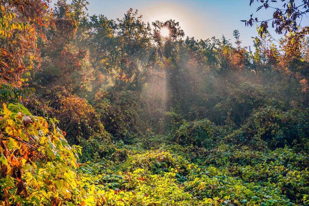 Фотографія Пейзаж / Олександр Катков / photographers.ua