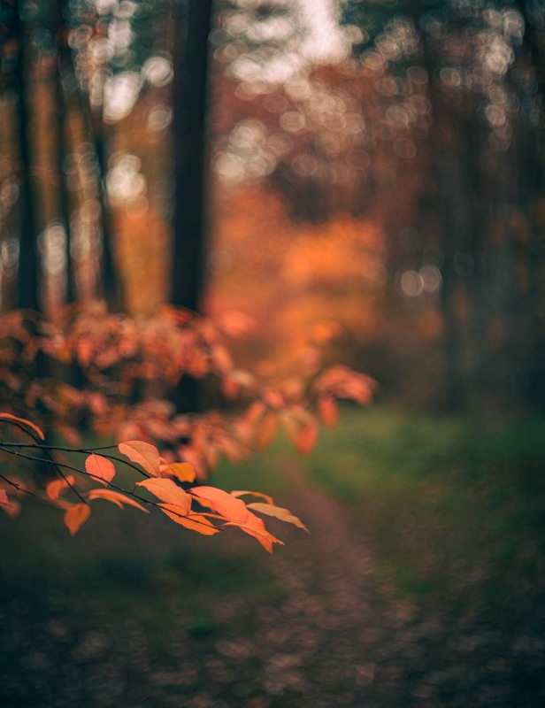 Фотографія Пейзаж / Олександр Катков / photographers.ua