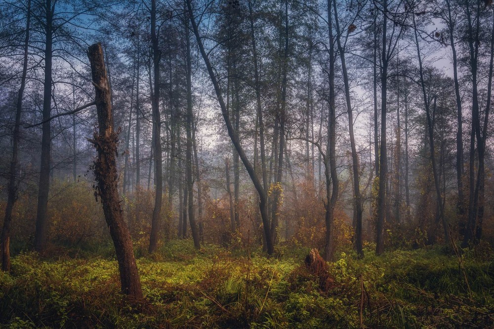Фотографія Пейзаж / Олександр Катков / photographers.ua