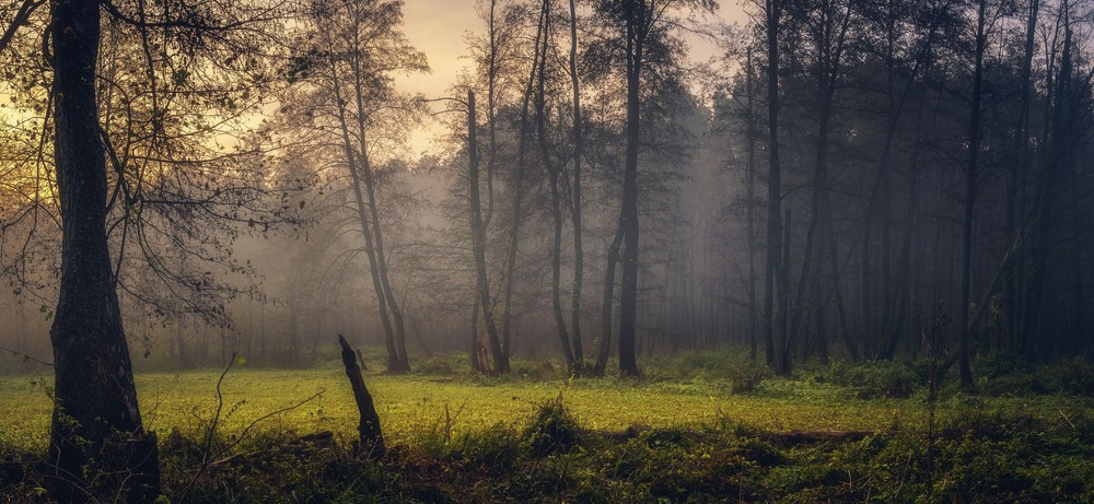 Фотографія Пейзаж / Олександр Катков / photographers.ua