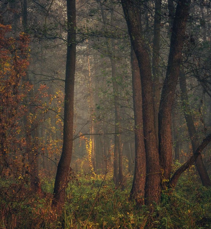 Фотографія Пейзаж / Олександр Катков / photographers.ua