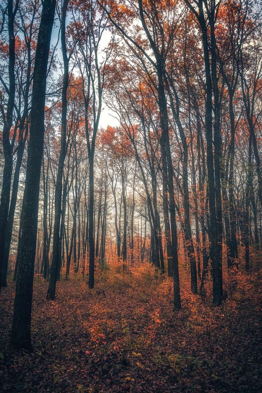 Фотографія Пейзаж / Олександр Катков / photographers.ua