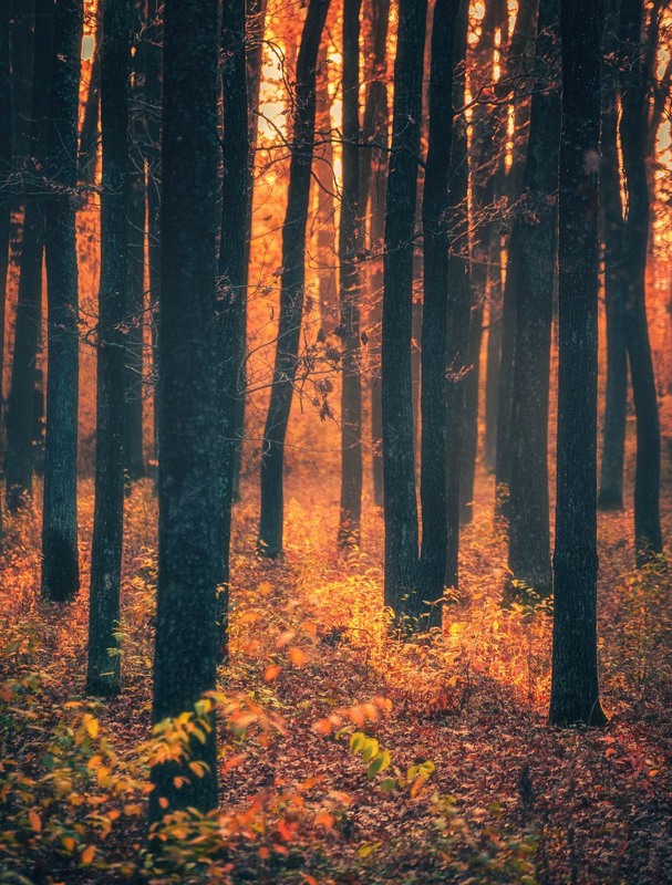 Фотографія Пейзаж / Олександр Катков / photographers.ua