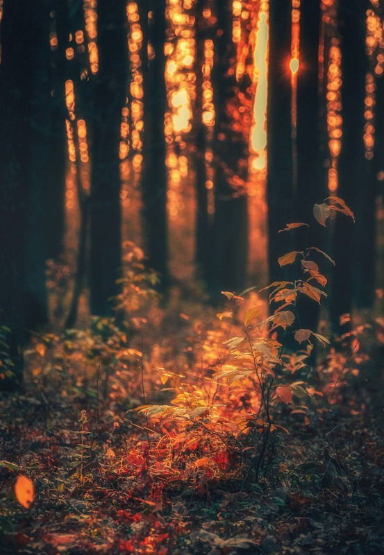 Фотографія Пейзаж / Олександр Катков / photographers.ua