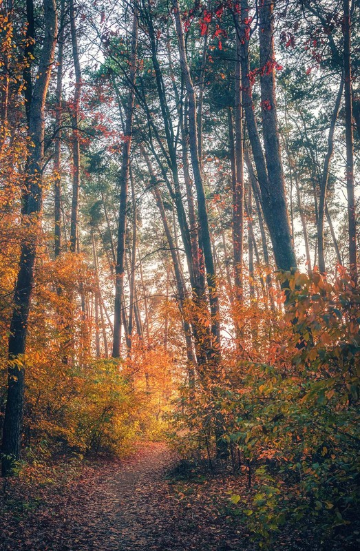 Фотографія Пейзаж / Олександр Катков / photographers.ua