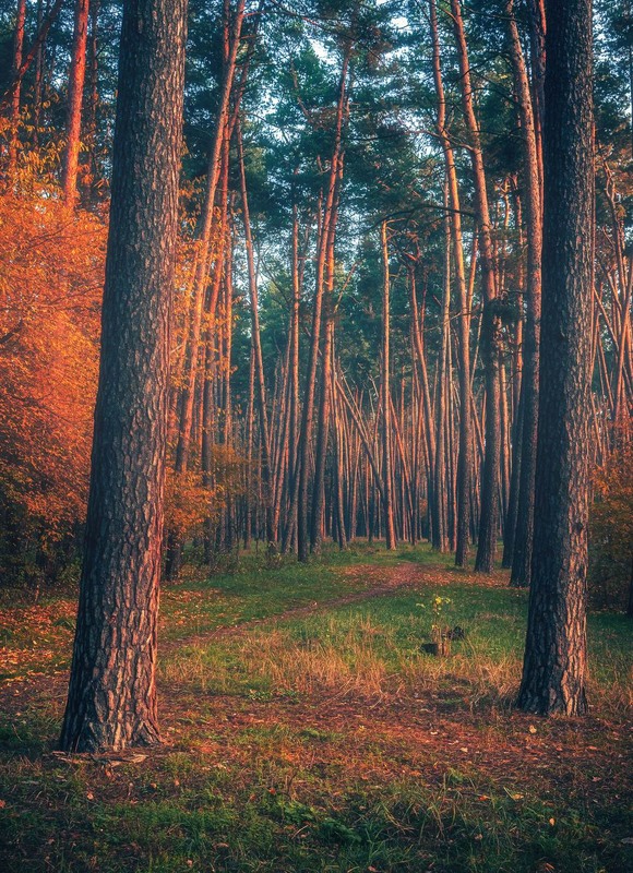 Фотографія Пейзаж / Олександр Катков / photographers.ua