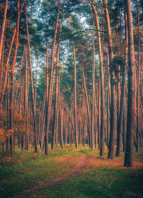 Фотографія Пейзаж / Олександр Катков / photographers.ua