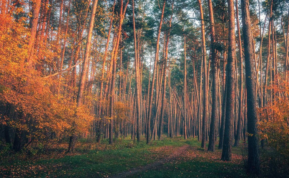 Фотографія Пейзаж / Олександр Катков / photographers.ua