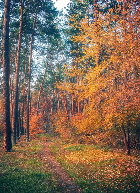Фотографія Пейзаж / Олександр Катков / photographers.ua
