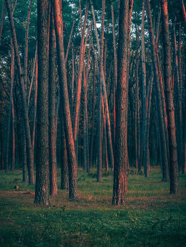 Фотографія Пейзаж / Олександр Катков / photographers.ua