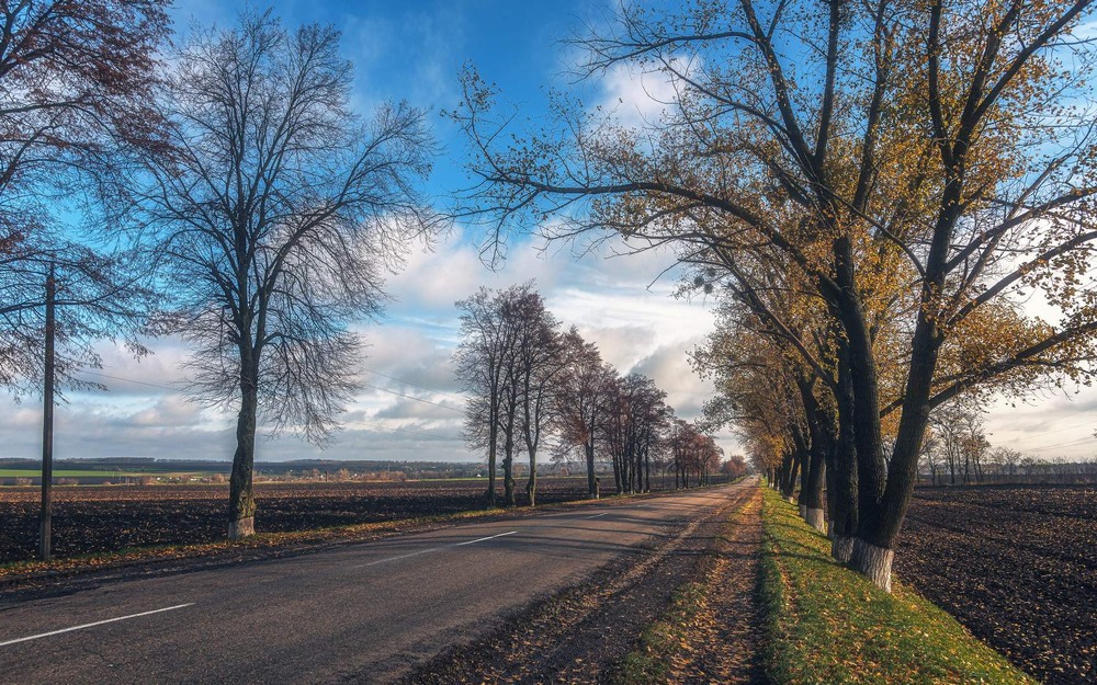 Фотографія Пейзаж / Олександр Катков / photographers.ua