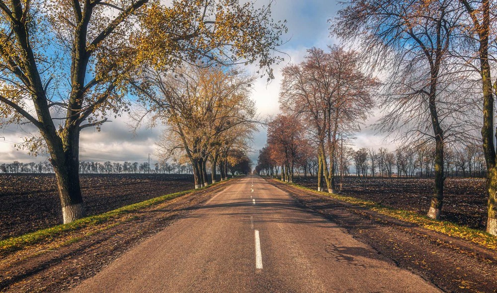 Фотографія Пейзаж / Олександр Катков / photographers.ua