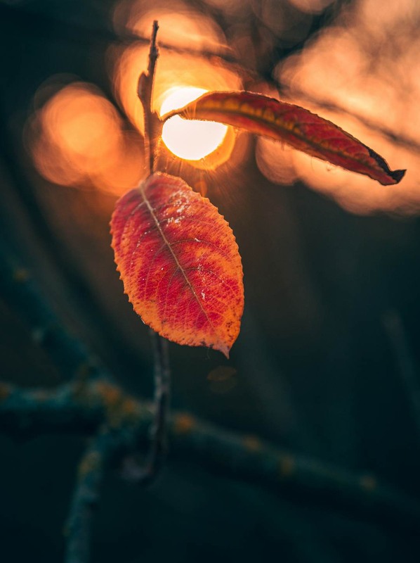 Фотографія Разное / Олександр Катков / photographers.ua