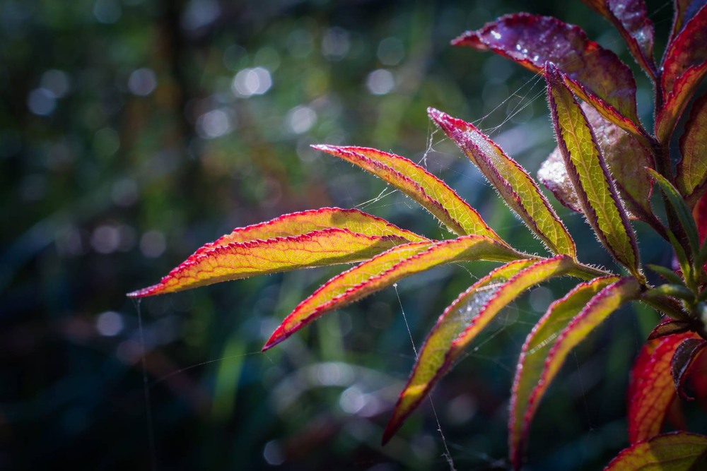 Фотографія Разное / Олександр Катков / photographers.ua