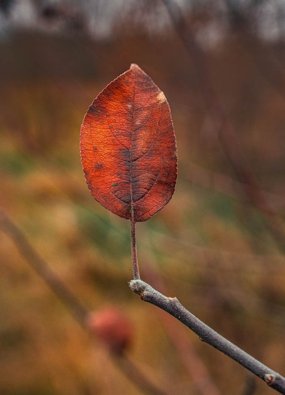 Фотографія Разное / Олександр Катков / photographers.ua