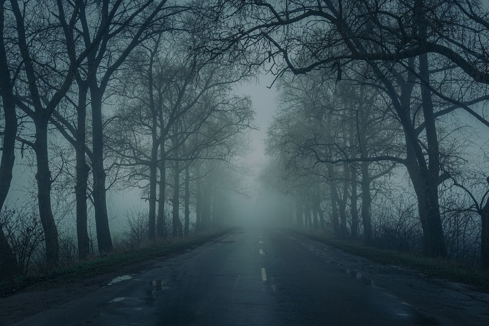 Фотографія Пейзаж / Олександр Катков / photographers.ua